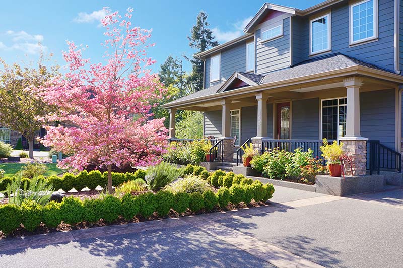 Newly constructed house with spring blooming pink trees photographed while home inspection services are being preformed.