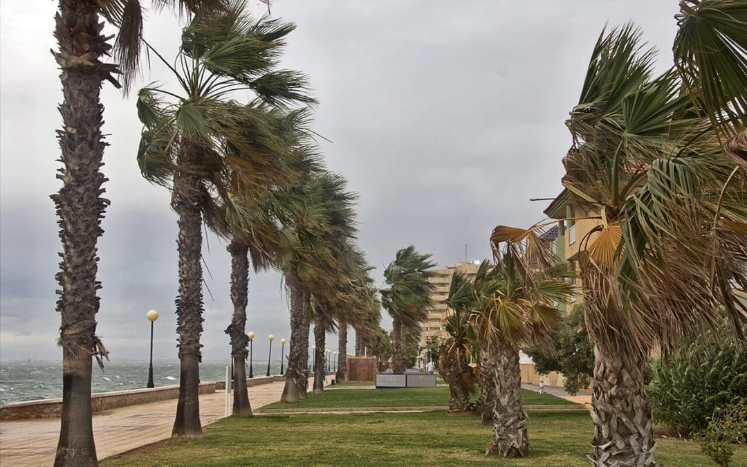 What is a Wind Mitigation Inspection?