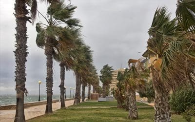 What is a Wind Mitigation Inspection?