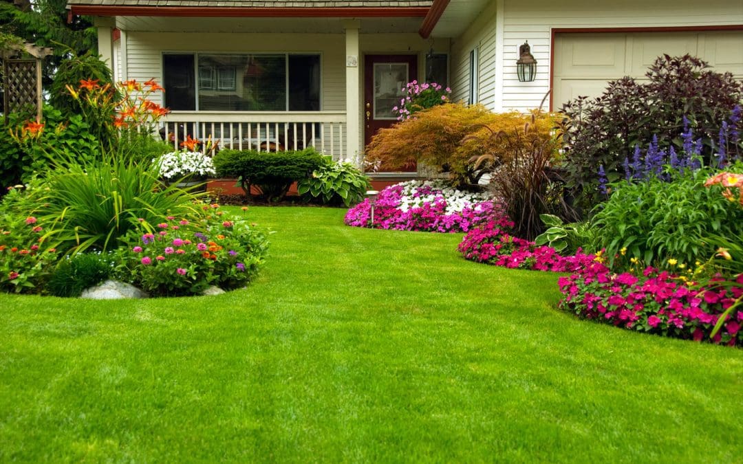 outdoor home maintenance