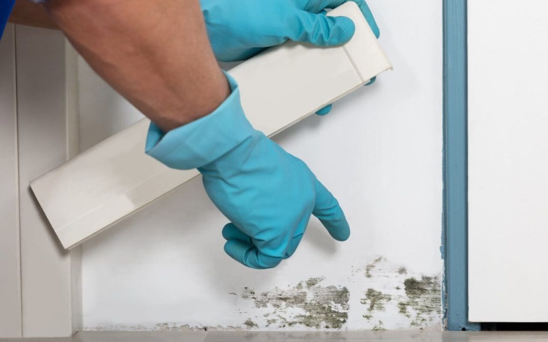4 Tips for Preventing Mold Growth at Home