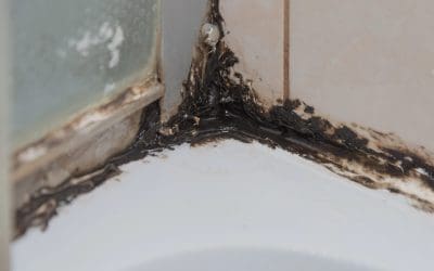 How to Prevent Bathroom Mold: Simple Tips That Work