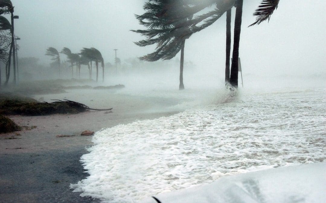 Prepare Your Home for Hurricane Season