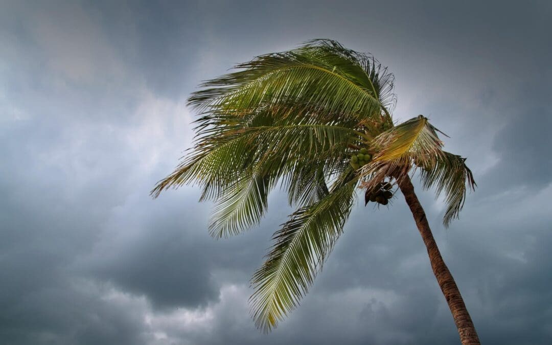 Protect Your Home from Wind Damage